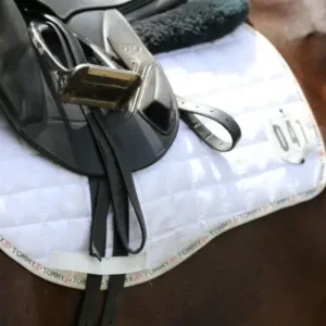 Prism - Dressage